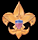 BSA crest